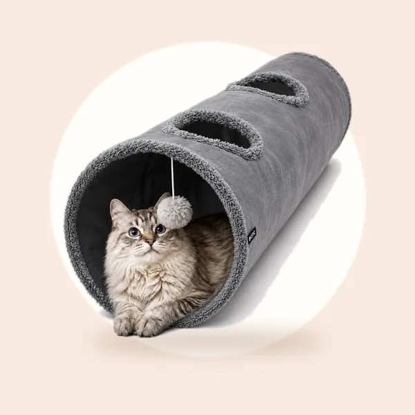 BOTC Kattentunnel - Speeltunnel Voor Dieren - Tunnel Kat - Kattenhuis