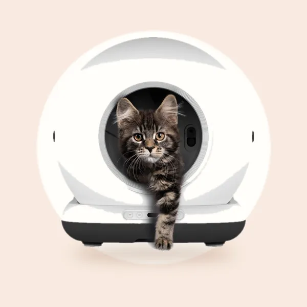 Automatische Kattenbak - Zelfreinigende Kattenbak - Inclusief App