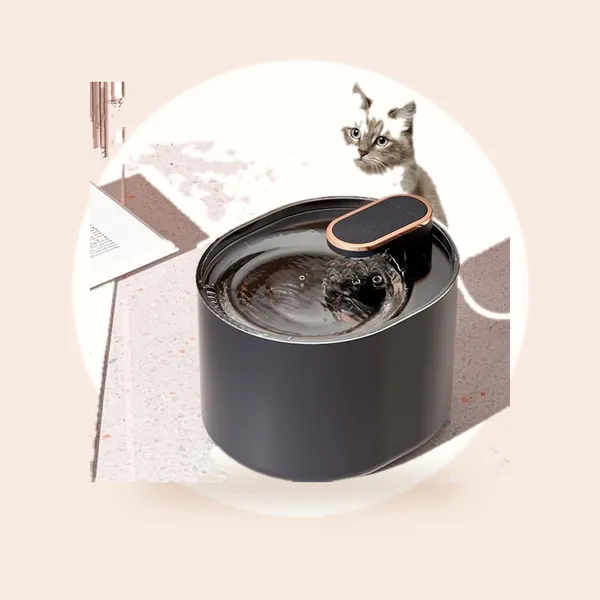 BVT  Drinkfontein Kat - Waterfontein - Grote Variant- 3.0 Liter - Zwart