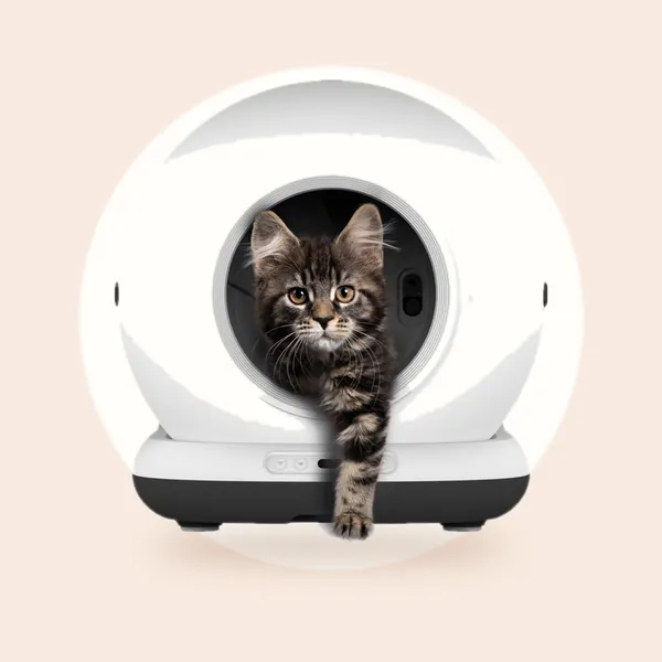 Automatische Kattenbak Met Camera - Zelfreinigende Kattenbak