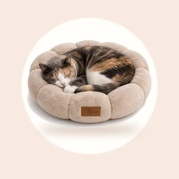Kattenmand - Kattenmandje - Donutmand Kat - Kleine Hondenmand