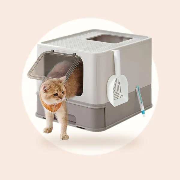 Feandrea - Kattenbak - Met Deksel - Uittrekbare Lade - Lekvrije Bodem