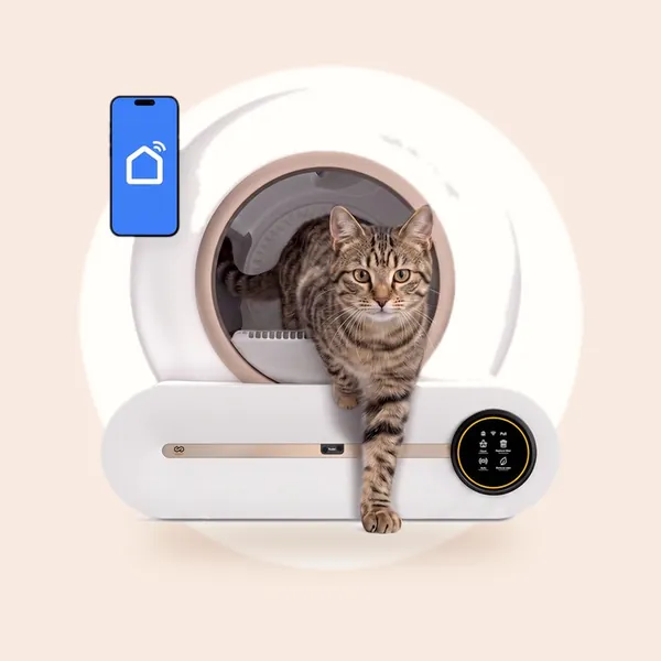 Infinity Goods Automatische Kattenbak XXL - Zelfreinigende Kattenbak